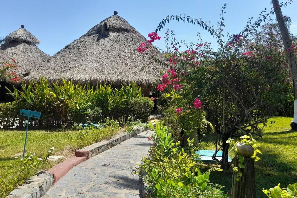 Apartamento Sol Y Mar. Delfines Ixtapa  Exterior foto